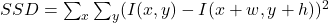 SSD= \sum_x \sum_y (I(x, y) - I(x+w,y+h))^2